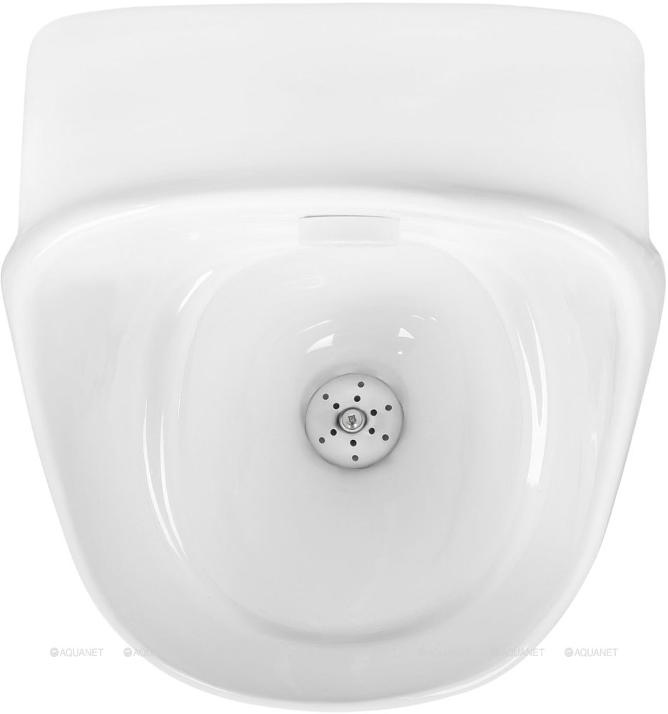 Дополнительное фото №3 Писсуар Aquatek AQ3060-S-00